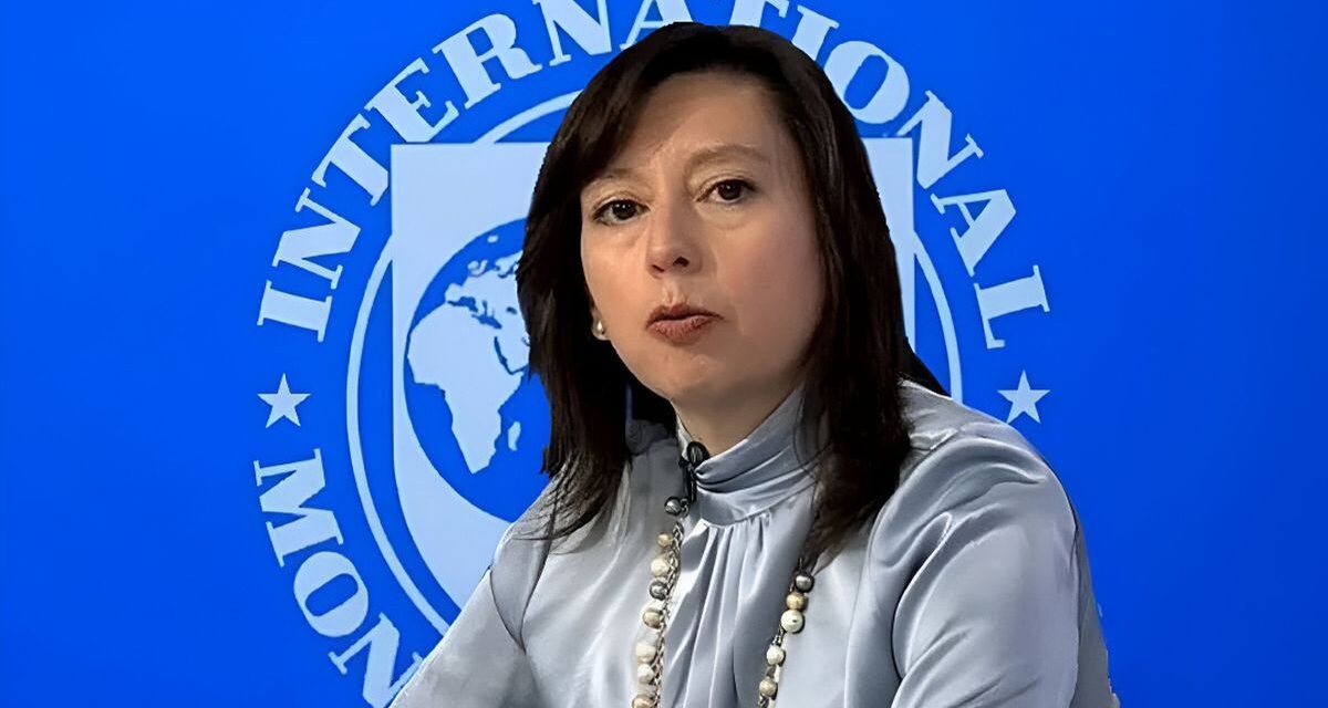 Reservas, dólar e inflación: ¿cómo ve el FMI a la Argentina hoy?