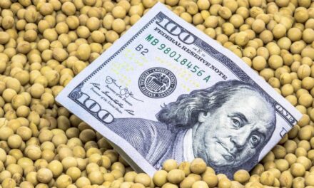 El mercado agrícola argentino: cómo la soja y el trigo impactan en la economía 🌱💰