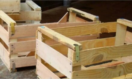 Las lluvias arrasan con la agricultura en Santa Fe: ¿Qué significa para vos?