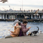 El auge de las series turcas: ¿Por qué no dejan de conquistar a los espectadores? 🇹🇷✨