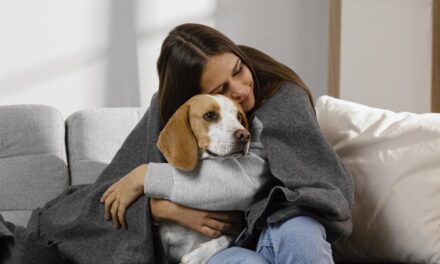 ¡Protege a tus mascotas del frío! 🐶❄️ Cómo mantenerlos cálidos en otoño e invierno
