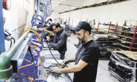 ¿Cómo afecta la crisis a las pymes argentinas y qué riesgos enfrentan? 🚨