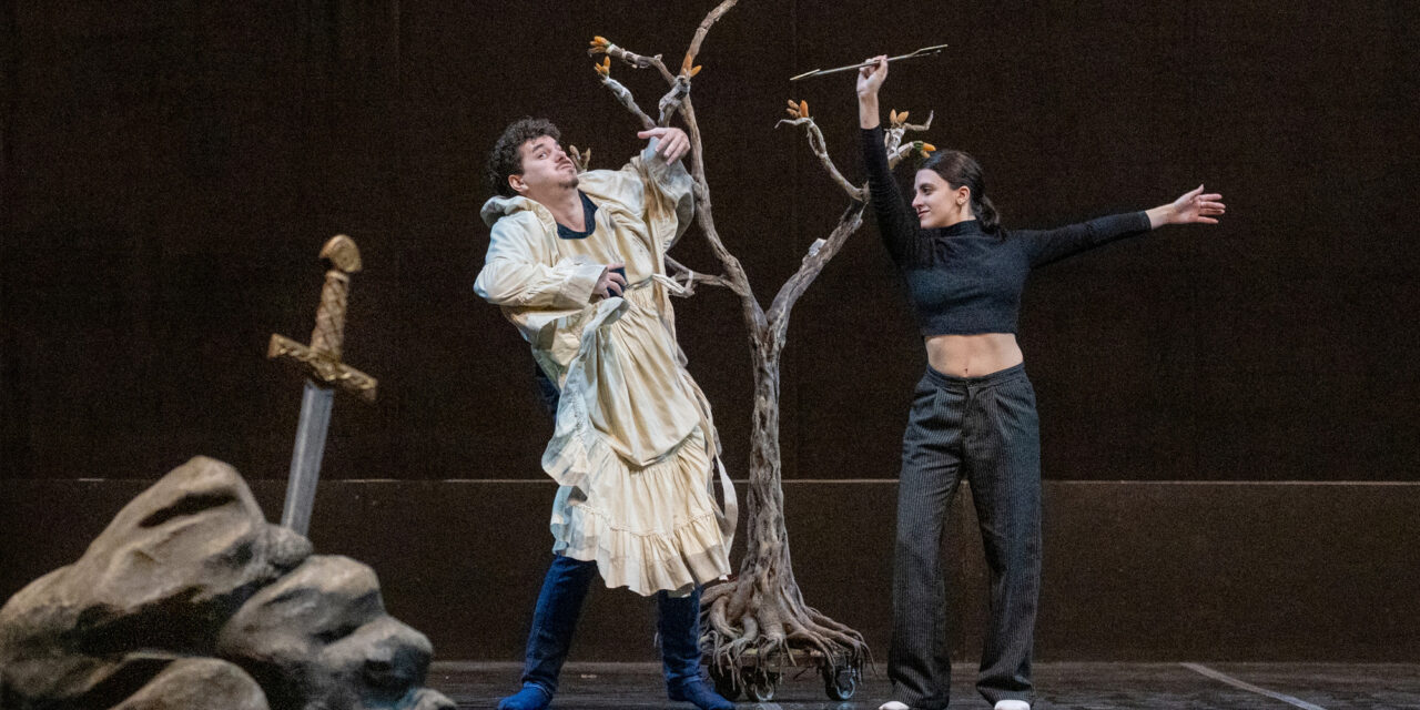 ¡Llega una versión única de Rey Arturo para los más chicos en el Teatro Colón! 🎭✨