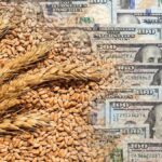 El campo argentino: ¿la clave para traer más dólares y fortalecer la economía? 🚜💸