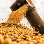 ¿Hacia dónde va la economía argentina? La primarización que preocupa a todos 🇦🇷💸