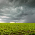 El clima y la economía argentina: ¿Qué nos espera con El Niño en el horizonte? 🌧️💸