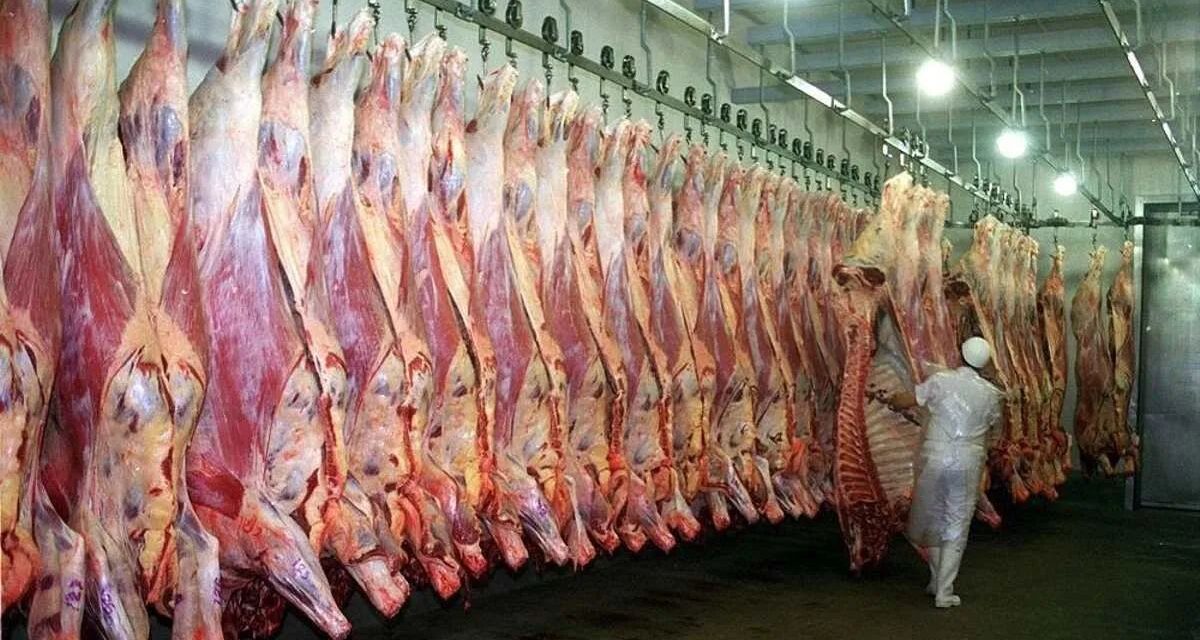 Argentina rompe récords en exportación de carne a EEUU mientras sufre el mercado local 🥩🚨