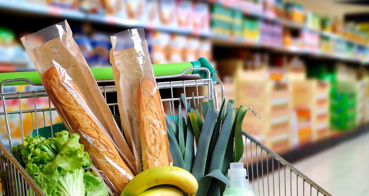 ¡Ahorra en tus compras! Las promociones de Coto para aliviar el bolsillo 💸🛒