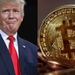 ¿Cuánto dinero ganó Donald Trump en criptomonedas en 2025? 💸🚀