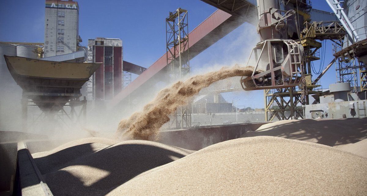 ¡Récord histórico! Las exportaciones agroindustriales de Argentina alcanzan un nuevo máximo en 2025 🚀🌱