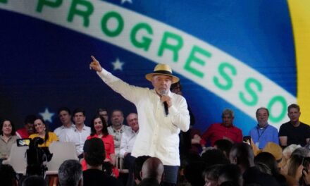Tensiones en Brasil y Argentina: ¿Qué hay detrás de los insultos de Milei y cómo afectan la relación entre ambos países? 🇧🇷🇦🇷