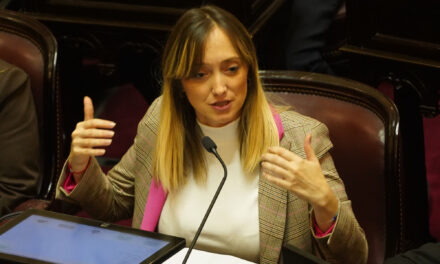 Senadora en embarazo de riesgo pide votar desde casa en el Senado 🏛️🤰