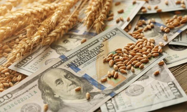 ¿Qué esperar del campo en 2026? La economía y un panorama estable con un toque de incertidumbre 🚜💰