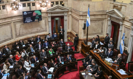 El Senado aprueba la reforma del subsidio al gas en zonas frías 🇦🇷🔥