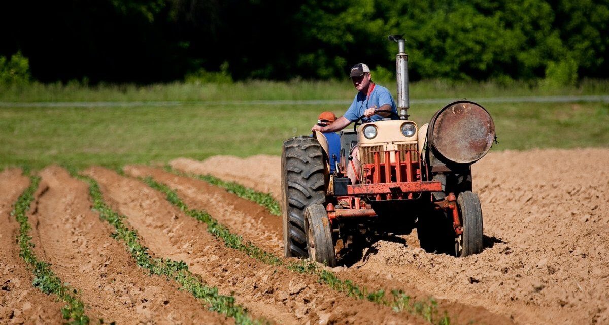 El agro impulsa el crecimiento, pero el trabajo sigue en jaque 💼🌱