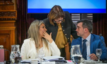 ¿Qué pasa con la reforma electoral en Argentina? Las tensiones y los datos que debes conocer 🗳️🔥