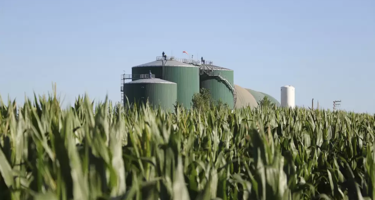 ¡El sector agroindustrial celebra una ley que impulsa el futuro de los biocombustibles en Argentina! 🚀🌱