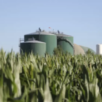 ¡El sector agroindustrial celebra una ley que impulsa el futuro de los biocombustibles en Argentina! 🚀🌱
