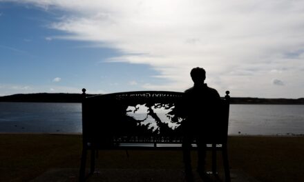Malvinas en medio de la tensión: ¿Qué piensan los isleños sobre las disputas y las declaraciones internacionales? 🌍⚓