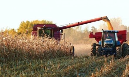 ¿Qué piensan los productores agrícolas de Argentina y EE.UU. sobre el futuro? 🌱🤔