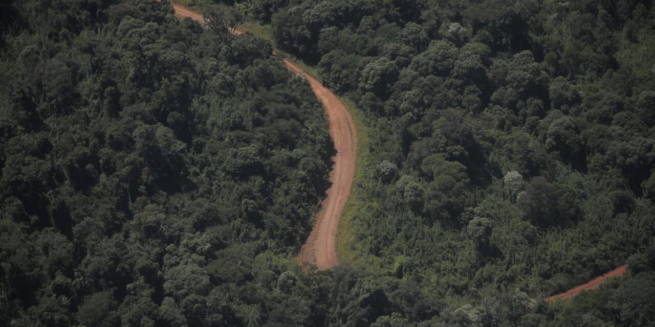 ¿Qué pasa con la venta de tierras a extranjeros en Argentina? ⚠️🌎
