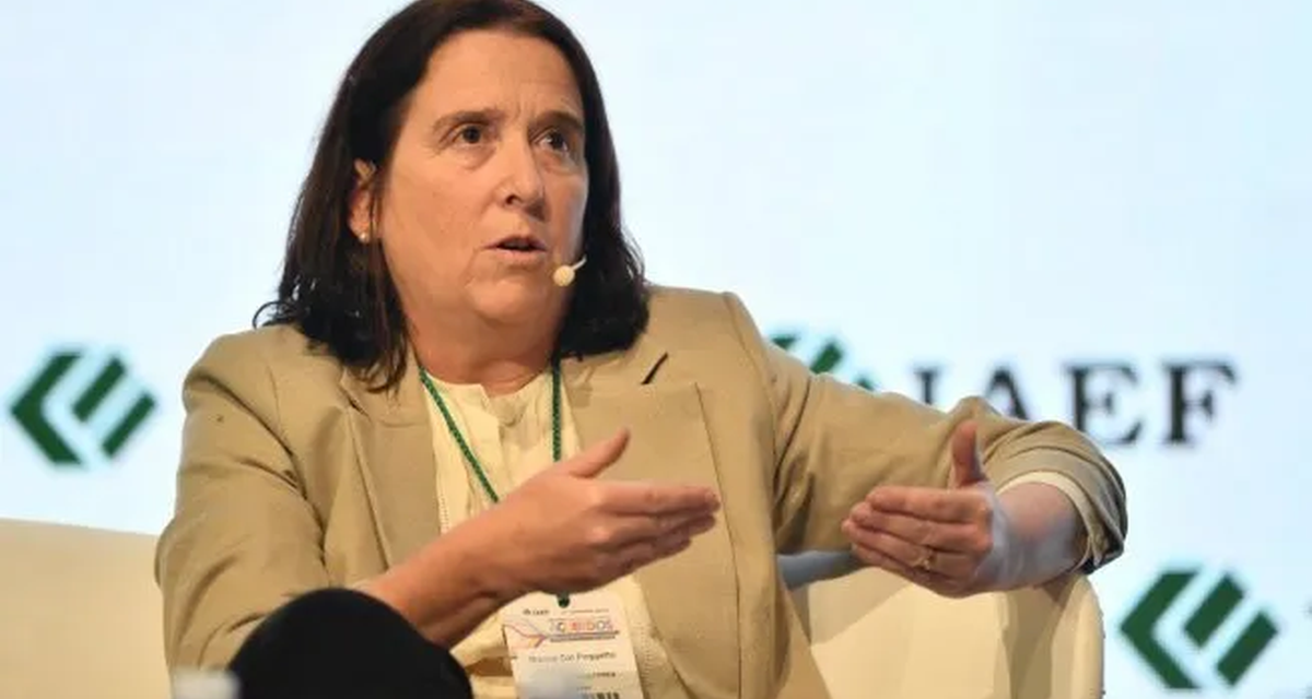 ¿El RIGI realmente impulsa la economía o solo gasta recursos? 💸🤔