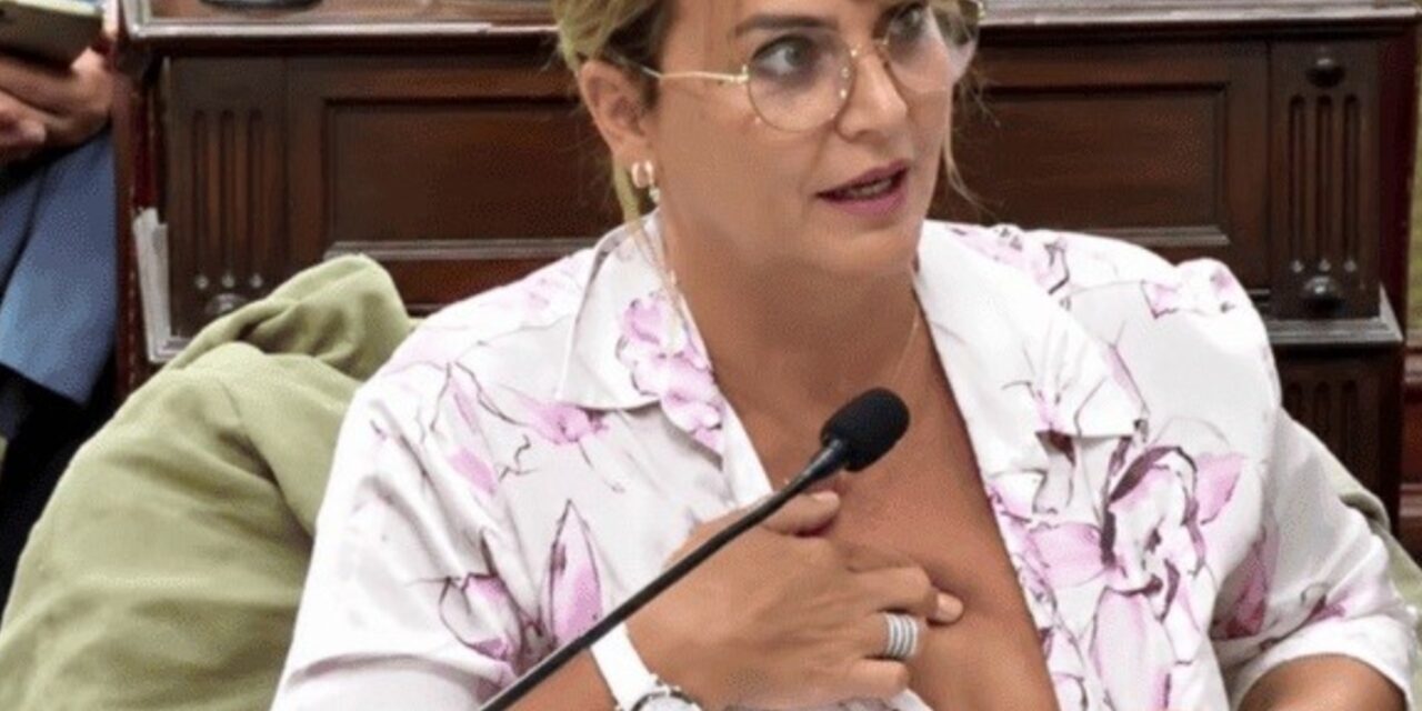 Amalia Granata mostró su lado más humano y sincero en plena sesión legislativa 🚺💉