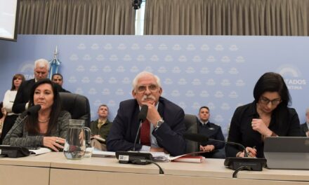 Todo lo que necesitas saber sobre la polémica Ley de Defensa de la Soberanía 🇦🇷