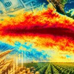 El impacto del Súper Niño en la agricultura del Cono Sur: ¿Qué esperar para esta temporada? 🌧️🌱