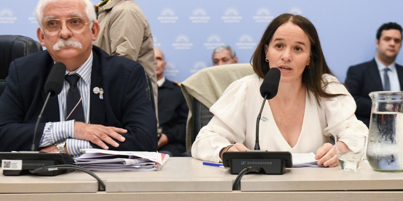 ¿Qué busca el proyecto de Defensa de la Soberanía Argentina? 👀