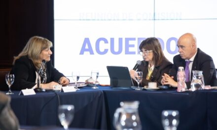 Patricia Bullrich se diferencia del Gobierno y cuestiona a la fiscal Susana Pernas 🚨
