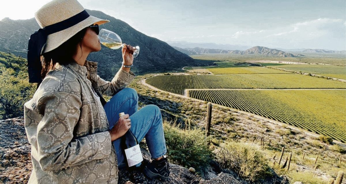 ¡Un nuevo orgullo para La Rioja! El Valle de Huaco ahora tiene su propia Indicación Geográfica 🏞️🍷