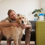 ¿Planeás viajar con tu perro a Brasil? Todo lo que tenés que saber 🐶✈️
