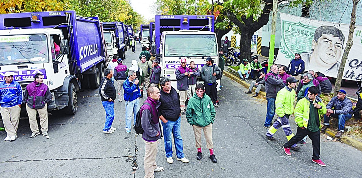 Covelia en Panamá: ¿Un negocio más allá de la basura? 🚮🌎