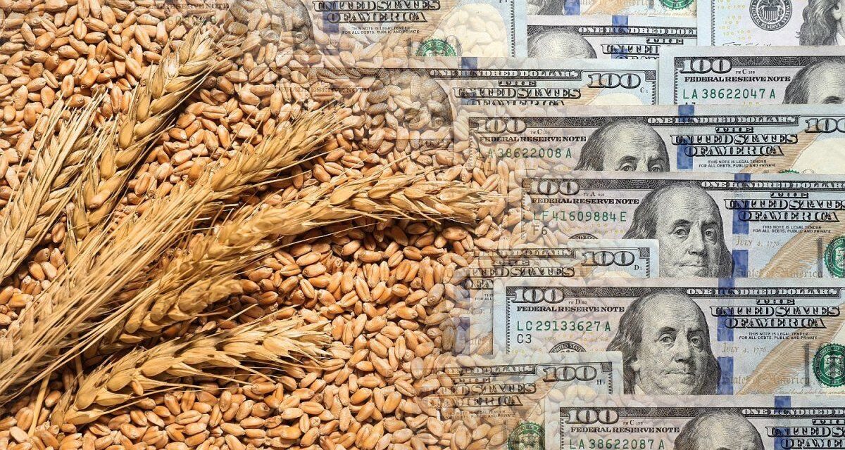 ¡Argentina rompe récords en exportación de granos y aceites! 🌾🚀