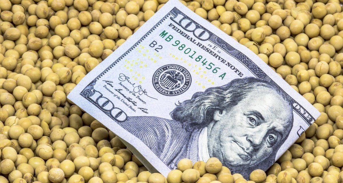 ¿Tiene Argentina los dólares para enfrentar 2027? 🚀💸